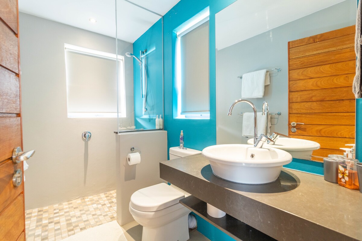 Riebeek Vista en-suite bathroom with walk-in shower